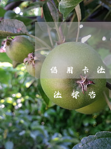 信用卡法律咨詢在線24小時電話-信用卡法律咨詢在線24小時電話是多少
