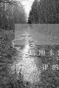 信用卡法律的案例分析和材料分析-信用卡法律的案例分析和材料分析的區(qū)別