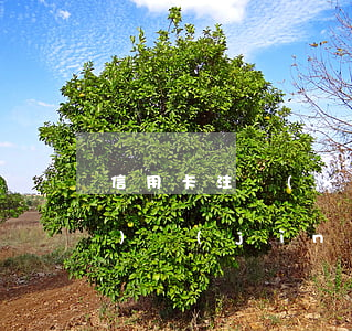 信用卡注銷(xiāo)了逾期會(huì)進(jìn)入征信嗎(信用卡注銷(xiāo)了逾期會(huì)進(jìn)入征信嗎嗎)