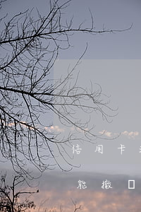 信用卡注銷了怎么處理逾期(信用卡逾期能不能撤銷)
