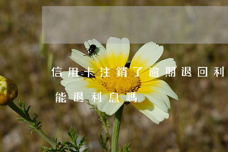 信用卡注銷了逾期退回利息(信用卡注銷了還能退利息嗎)
