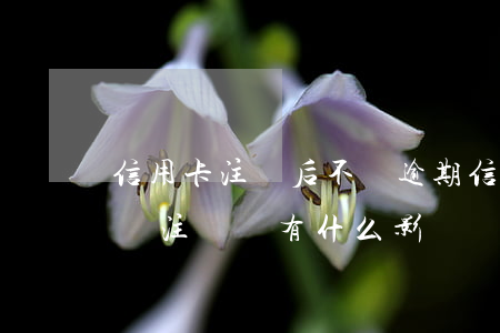 信用卡注銷后不會逾期(信用卡逾期還清后立馬注銷,會有什么影響?)