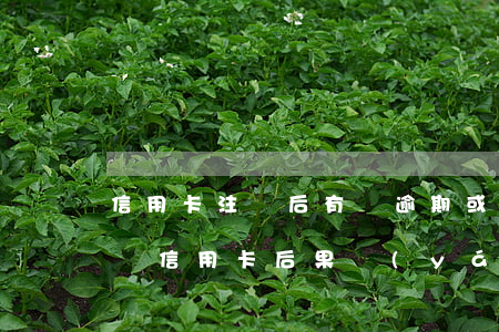 信用卡注銷后有過逾期或多久能消(逾期后注銷信用卡后果嚴(yán)重)