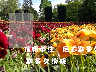 信用卡注銷后逾期多久消除(信用卡注銷后逾期多久消除)