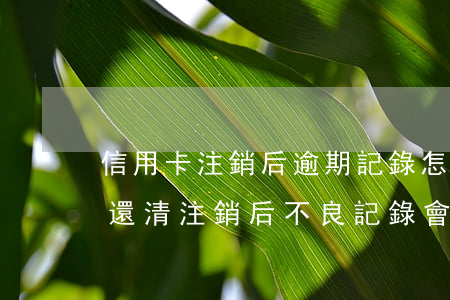 信用卡注銷后逾期記錄怎么辦(逾期的信用卡還清注銷后不良記錄會(huì)消除嗎)