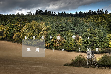 信用卡注銷年費(fèi)逾期（信用卡注銷年費(fèi)逾期）