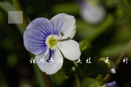 信用卡注銷流程(華夏銀行信用卡注銷流程)