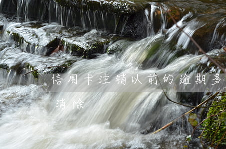 信用卡注销以前的逾期(多年前信用卡逾期能消除)