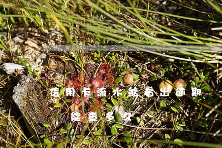 信用卡流水能看出逾期嗎(銀行信用卡流水賬單能查多久)