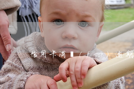 信用卡浦發(fā)逾期情況說明怎么寫