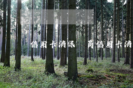 信用卡消保協商(信用卡消保協商)