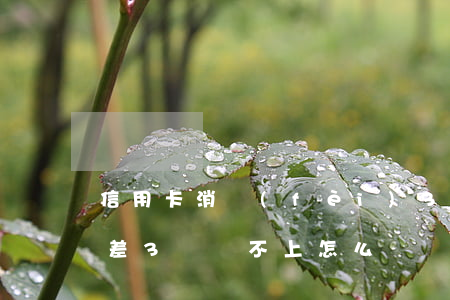 信用卡消費(fèi)3000不還(信用卡差3萬還不上怎么辦)