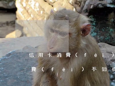 信用卡消費(fèi)不知情逾期(信用卡消費(fèi)不知情逾期)