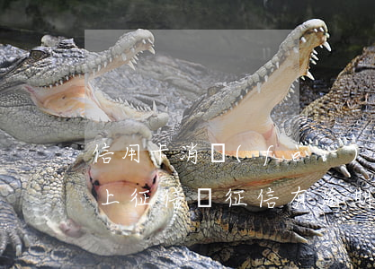 信用卡消費(fèi)不逾期會(huì)上征信嗎(征信有逾期是不是辦不了信用卡)
