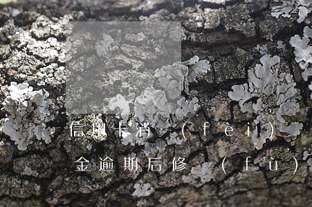 信用卡消費(fèi)備用金逾期憑證(備用金逾期后修復(fù)信用記錄)