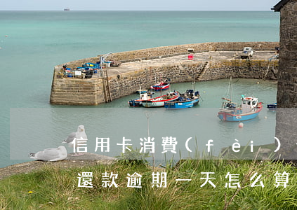 信用卡消費(fèi)分期逾期了一天(分期還款逾期一天怎么算罰息)