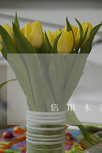 信用卡 消費(fèi)利息（信用卡利息征收）