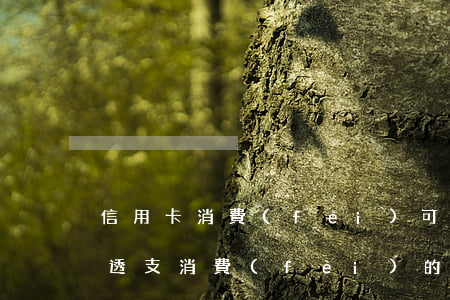 信用卡消費(fèi)可以透支多少(信用卡透支消費(fèi)的利率為多少)