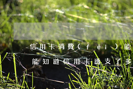 信用卡消費(fèi)能透支多少錢啊(怎么能知道信用卡透支了多少錢)