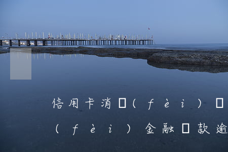 信用卡消費(fèi)貸款逾期案后果(消費(fèi)金融貸款逾期屬什么案)