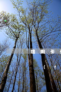 信用卡消費(fèi)透支有什么影響(用消費(fèi)貸還信用卡會有什么后果)