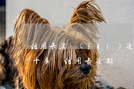 信用卡消費(fèi)逾期嚴(yán)重(十多張信用卡逾期)