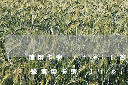 信用卡消費(fèi)逾期如何計(jì)算(信用卡消費(fèi)逾期如何計(jì)算利息)