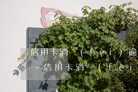 信用卡消費(fèi)逾期未還利息多少錢-信用卡消費(fèi)逾期未還利息多少錢一天