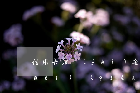 信用卡消費(fèi)逾期未還怎么辦(沒(méi)錢(qián)還信用卡逾期了怎么辦)