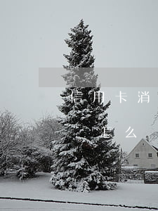 信用卡消費一萬左右不還(信用卡一萬五不還會怎么樣)