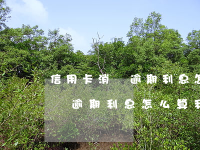 信用卡消費逾期利息怎么算利息-信用卡消費逾期利息怎么算利息的