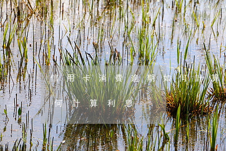 信用卡消費逾期如何計算(信用卡消費逾期如何計算利息)