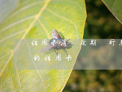 信用卡消費逾期銀行怎么處理(如何處理逾期的信用卡)