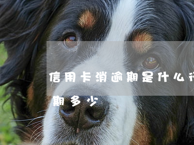 信用卡消逾期是什么行業(yè) 信用卡逾期多少錢