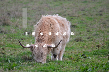 信用卡消除逾期記錄嗎-有什么辦法消除信用卡逾期記錄
