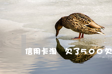信用卡淘寶欠了500 欠信用卡5000元