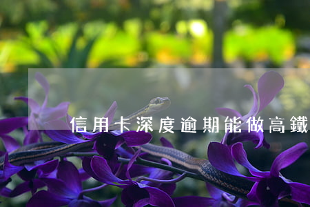 信用卡深度逾期能做高鐵嗎