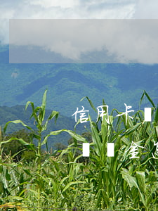 信用卡減免逾期利息(信用卡減免逾期利息和滯納金怎么寫)