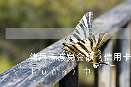 信用卡減免金額-信用卡減免金額流轉(zhuǎn)中