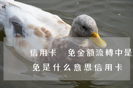 信用卡減免金額流轉中是什么意思-銀行減免是什么意思信用卡