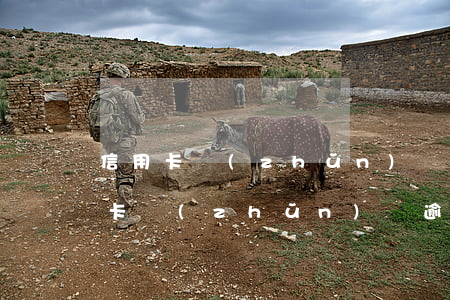 信用卡準(zhǔn)備逾期怎么辦-信用卡準(zhǔn)備逾期怎么辦理
