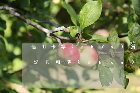信用卡準(zhǔn)貸記卡可以透支嗎(貸記卡和準(zhǔn)貸記卡都可以透支嗎)