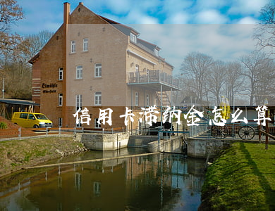 信用卡滞纳金怎么算
