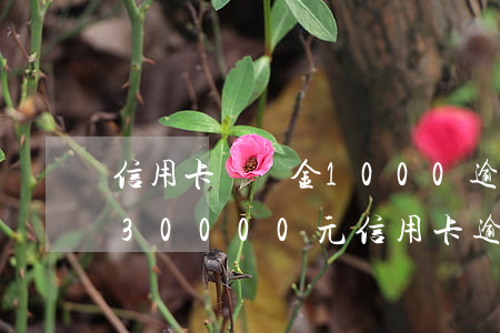 信用卡滯納金1000逾期一個(gè)月 30000元信用卡逾期滯納金一天怎么算