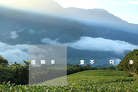 信用卡滯納金不還只還本金可以嗎