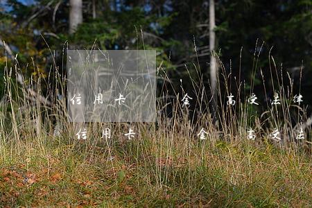 信用卡滯納金過高受法律保護(hù)嗎-信用卡滯納金過高受法律保護(hù)嗎怎么辦