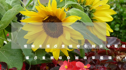 信用卡漏还金额收息起诉华厦银行-信用卡漏还金额收息起诉华厦银行有用吗