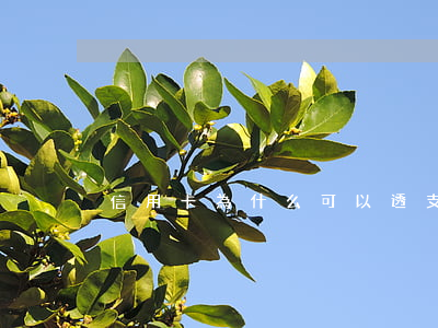 信用卡為什么可以透支額度
