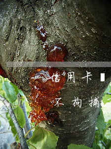 信用卡為什么逾期不拘捕 信用卡為什么逾期不拘捕了