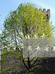 信用卡為負數(shù)算逾期嗎(什么叫信用卡逾期嚴重)